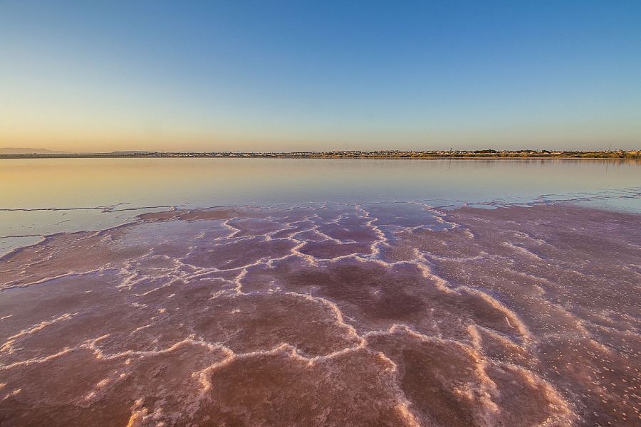 Salinas de Torrevieja