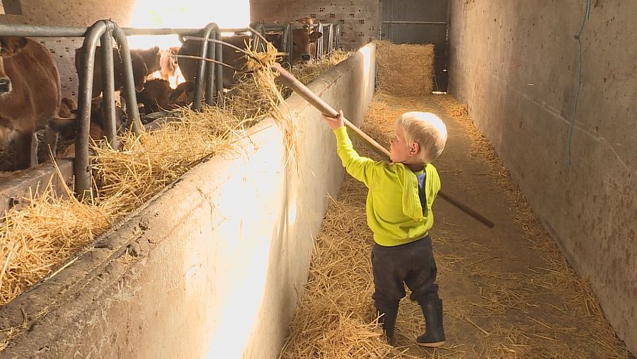 El relevo generacional depende de que el oficio sea viable
