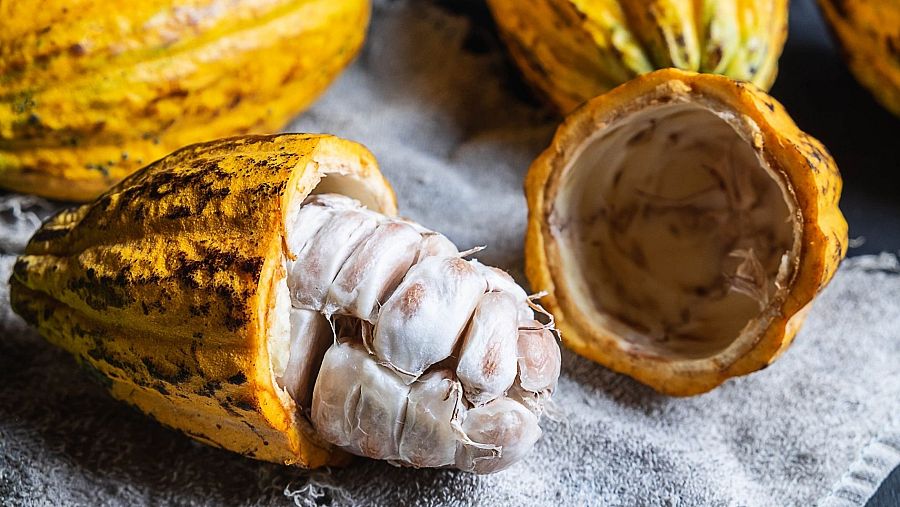 ¿Es cierto que se va acabar el chocolate?