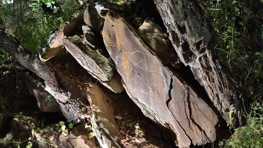 Grabado de un animal en las piedras que rodean el río Côa