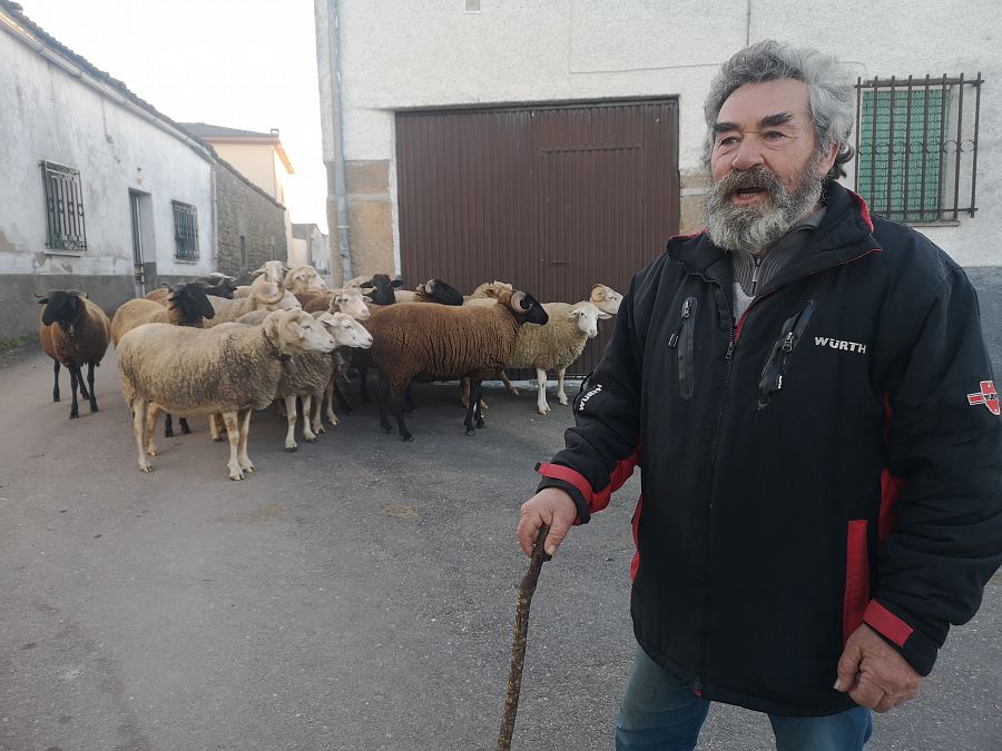 Felipe 'El Chapas', con su rebaño de ovejas