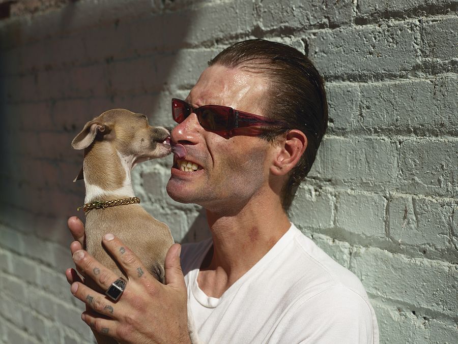Californian Wildflowers (Pieter Hugo, 2015)