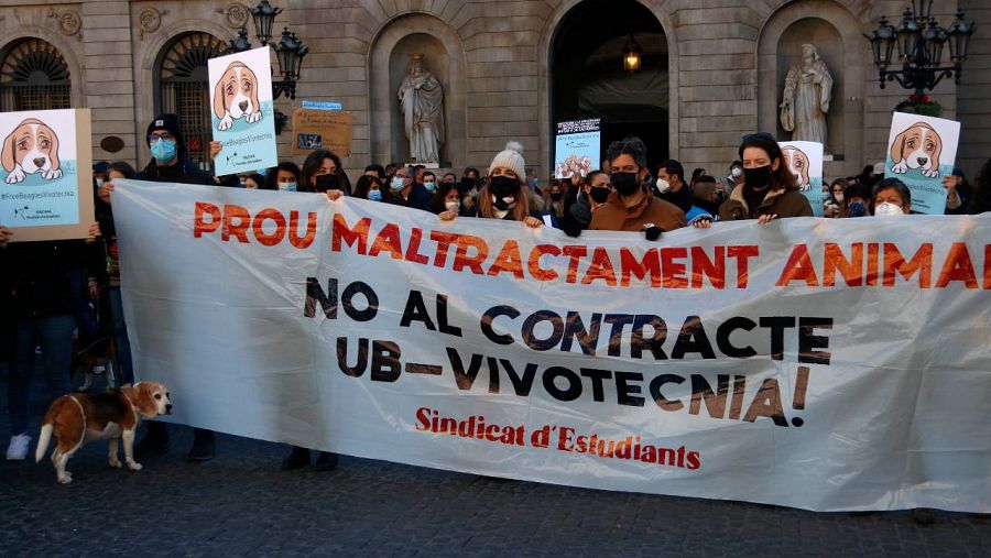 Diverses organitzacions s'han adherit a la protesta amb pancartes contra el maltractament animal | ACN