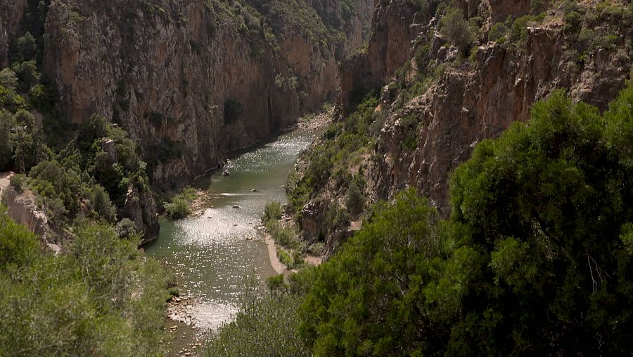 Les muntanyes verdes del Rif, un ecosistema sorprenent