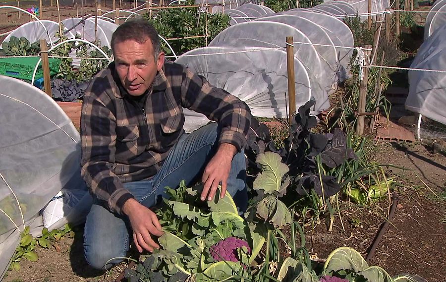 Aquí la Tierra | El horticultor José Manuel Sánchez en la huerta