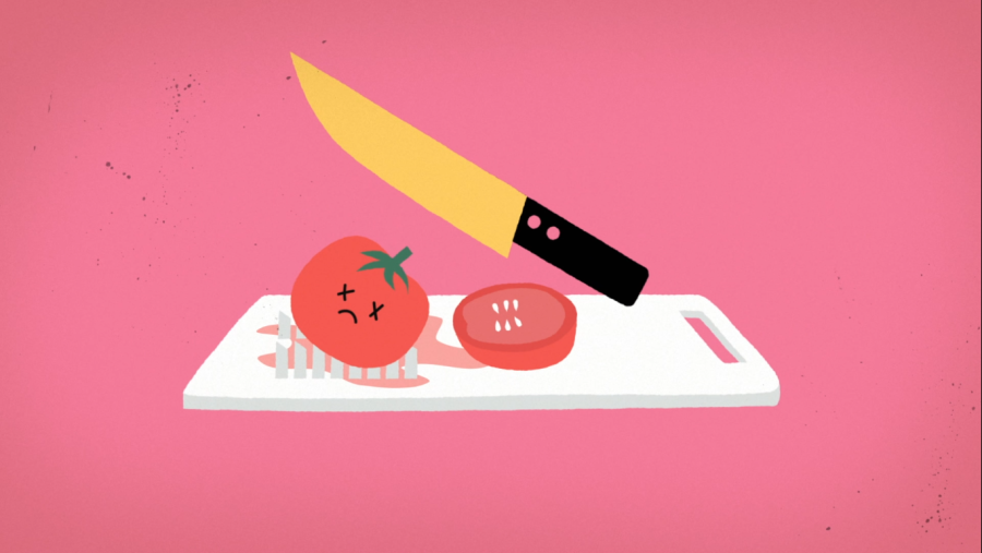 Il·lustració de Júlia Solans