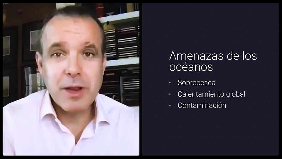 Amenazas de los océanos