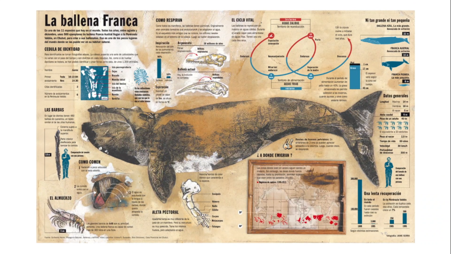 Infografia de Jaime Serra