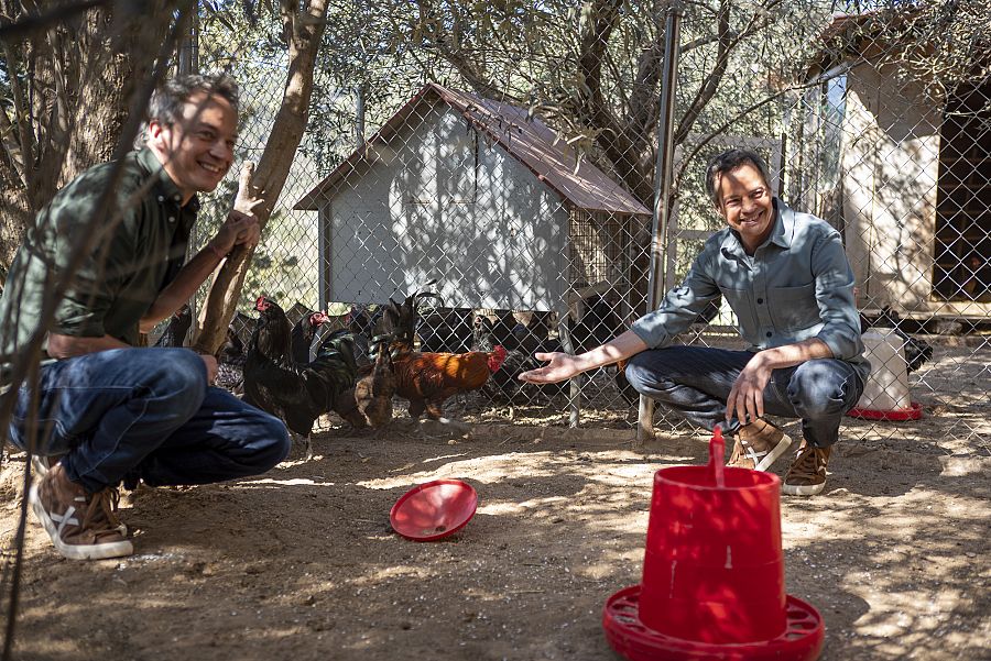 Los hermanos, en el corral