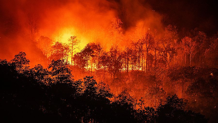 Los años comprendidos entre 2013 y 2021 se encuentran entre los diez más cálidos de la historia, lo que aumenta el riesgo de incendios.