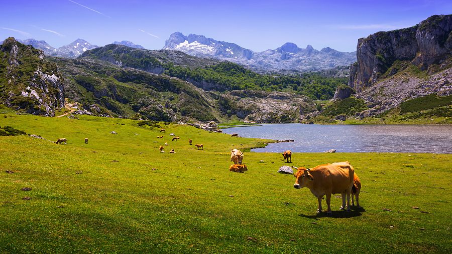 Imagen de los Picos de Europa, en la Cordillera Cantábrica