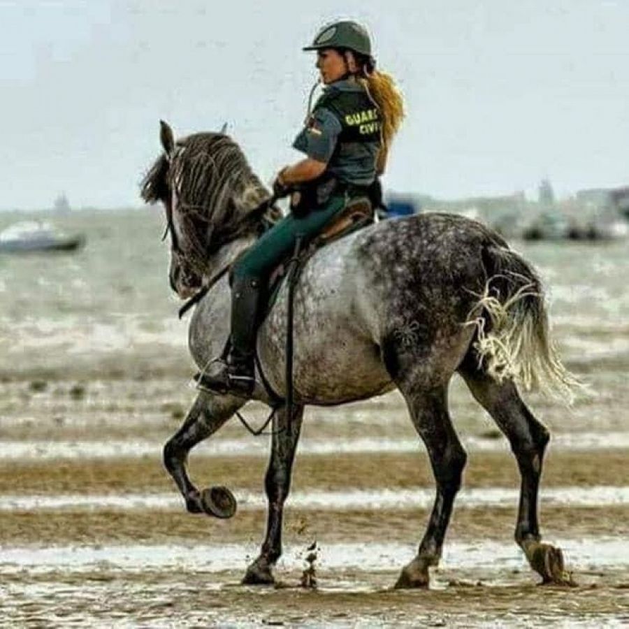 Por qué la Guardia Civil le impone al Papa el tricornio en un acto