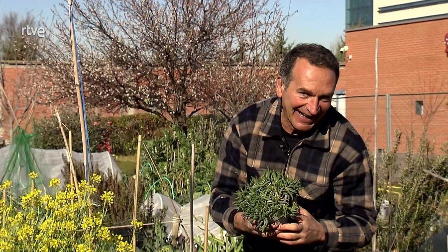 José Manuel Sánchez con la uña de gato