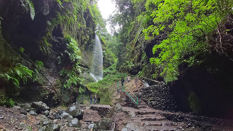 Cascada del Bosque de los Tilos