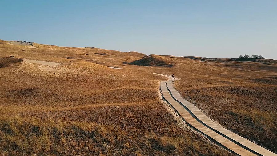 Camí de fusta per les dunes mortes de la reserva natural de Nagliu