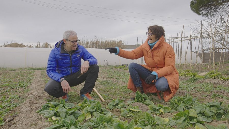 En Pere Calafell és pagès al Bages