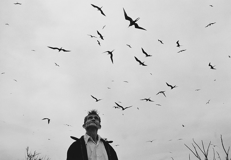 El señor de los pájaros (Nayarit, México, 1985)