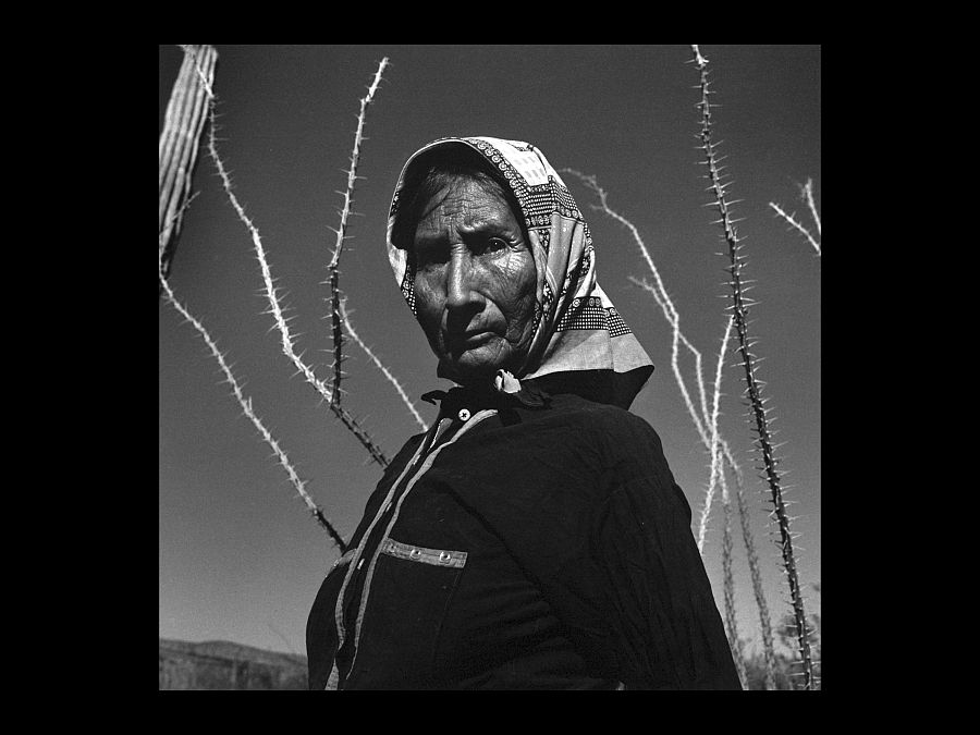 Desierto de Sonora (México, 1979)