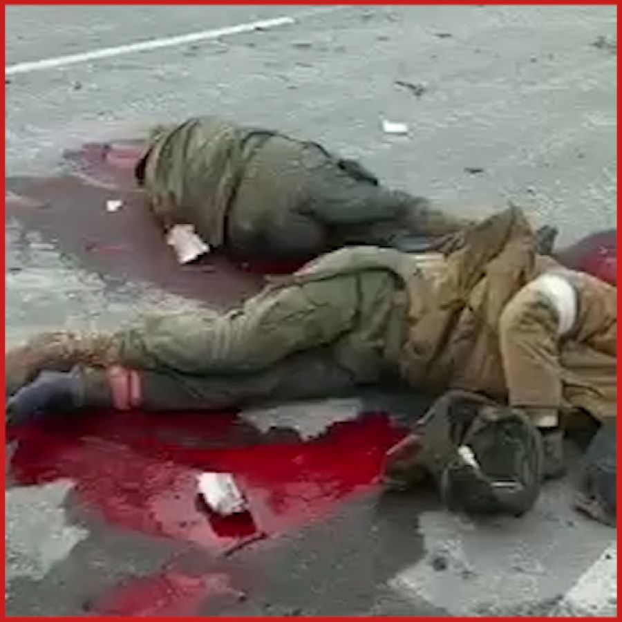 Dos cuerpos sin vida en una carretera de Dmitrivka (Ucrania).