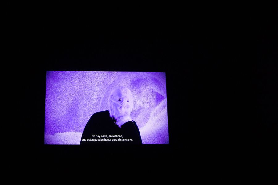 The Softboy (Laura Tabarés, 2022)