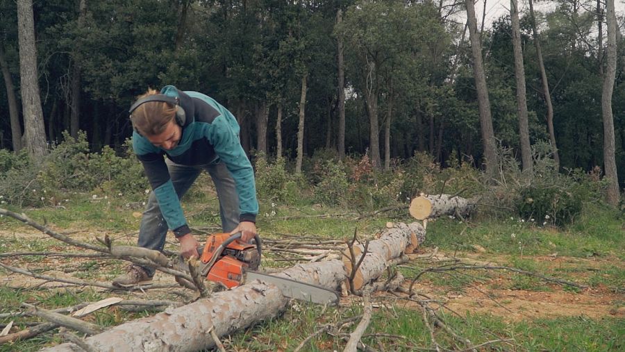 Hombre cortando leña
