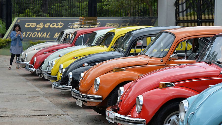 Varios Volkswagen Escarabajos de distintos colores en fila