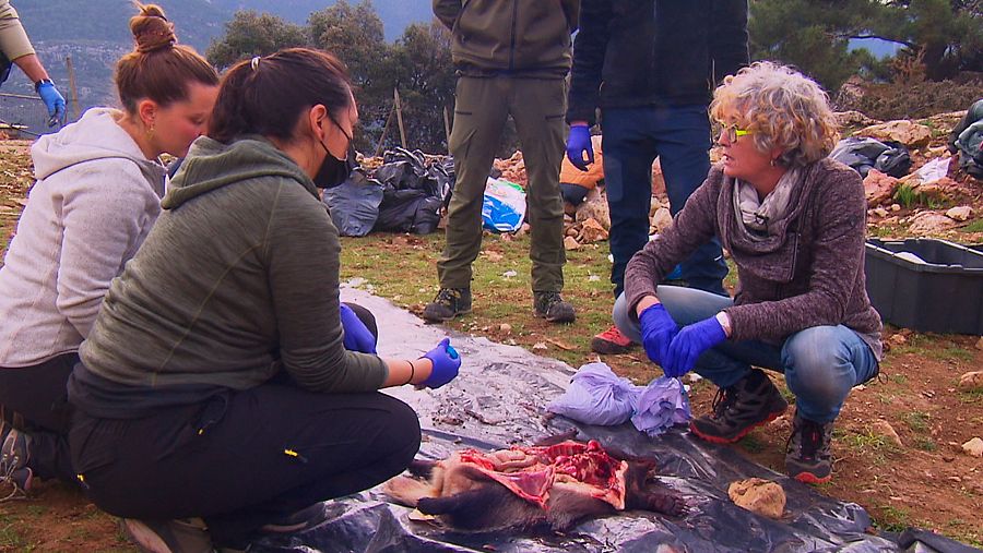 One Health, la nueva forma de entender la salud