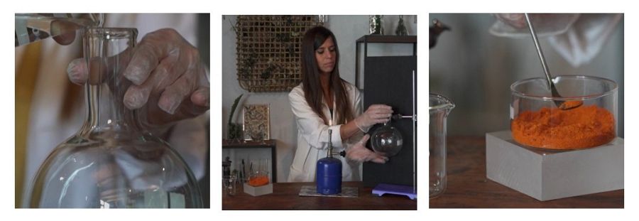 El origen de la luz de las luciérnagas