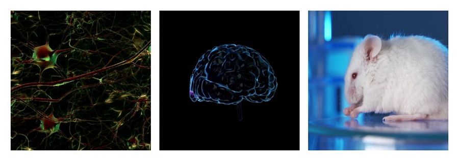 ¿Para qué sirve dormir?