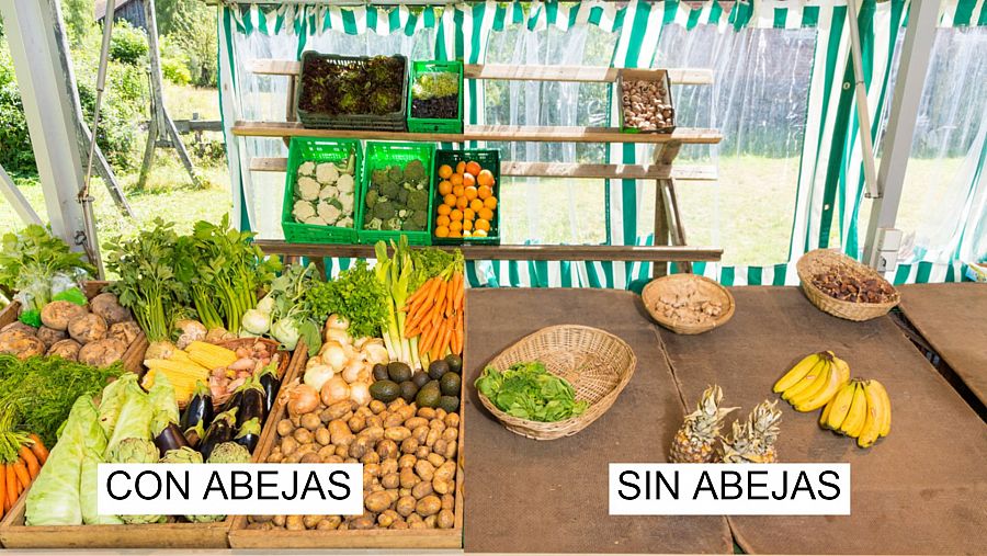 Simulación de cómo sería un mercado sin la existencia de las abejas (dcha.)