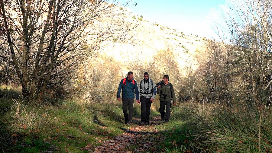 Juanjo Pardo y los guías Álvaro Martín y Juan Matute caminando  para avistar buitres leonados