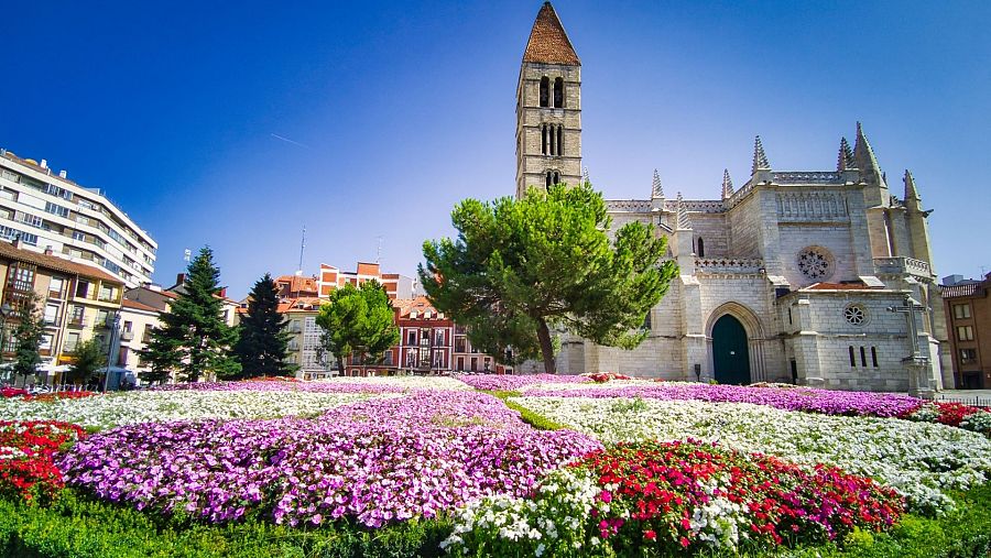 Flores al final del verano en la plaza de la iglesia gótica de Santa María la Antigua