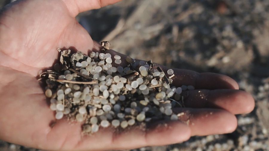 Una mano muestra el pellet de plástico encontrado en la playa de La Pineda, Tarragona.