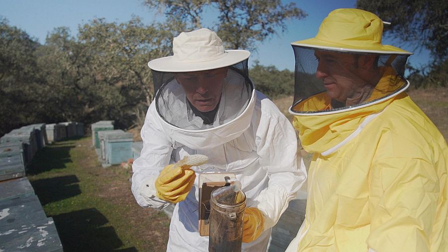 Descubriendo Sierra Morena