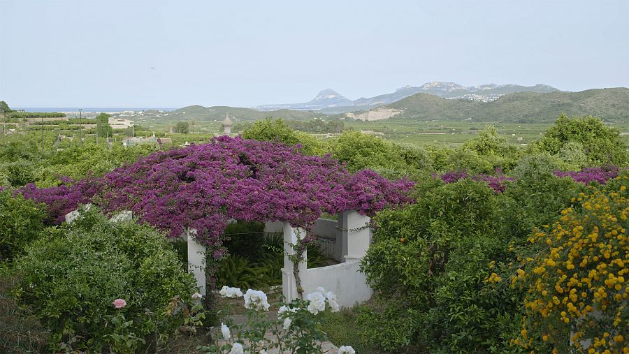 La finca del Elca, donde creció y se inspiró el poeta