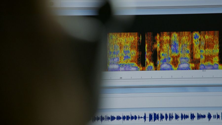 Un policía analiza en un ordenador las ondas de sonido de una escucha.