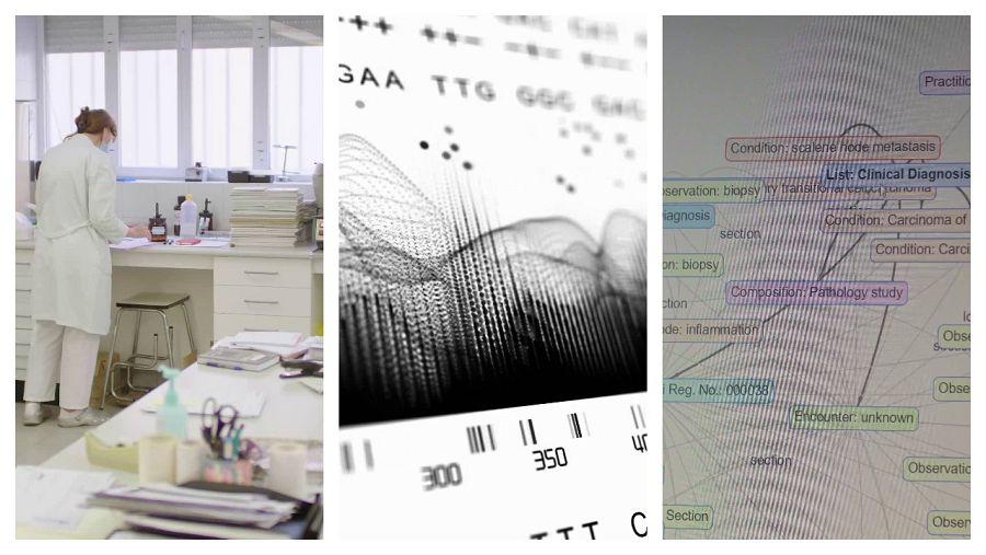 Escenas del documental 'Algoritmia'