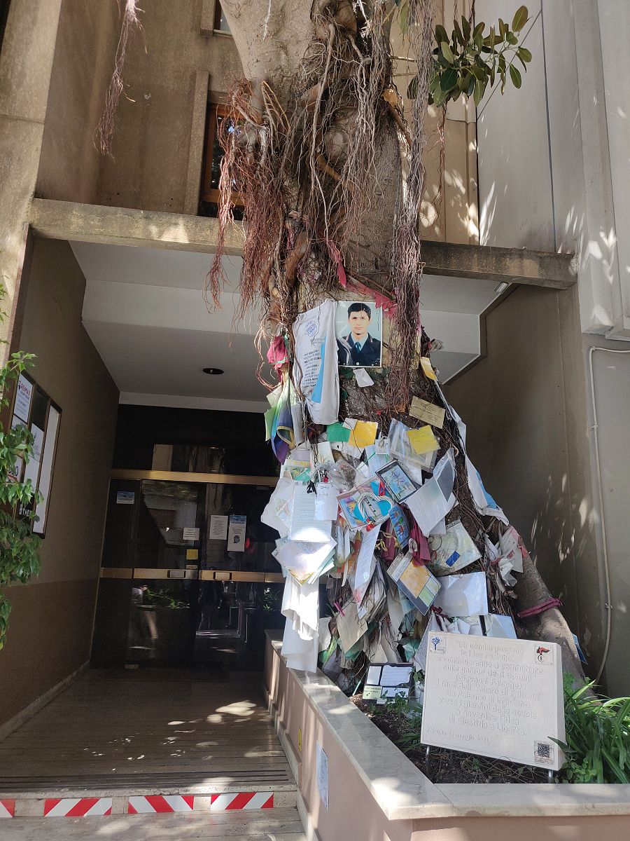 Árbol en la vivienda del juez Giovanni Falcone, el más emblemático de Italia, en el que la gente cuelga escritos en su memoria este viernes en Palermo
