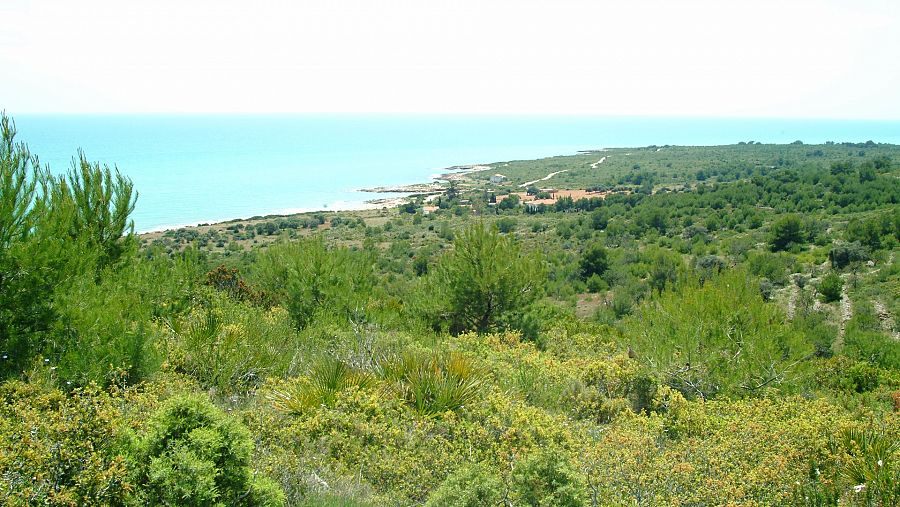 La costa de la Serra d'Irta es la última sin urbanizar de la Comunitat Valenciana