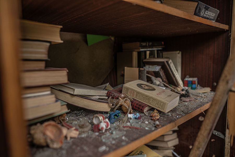 Biblioteca de la casa de Lena y Mikel