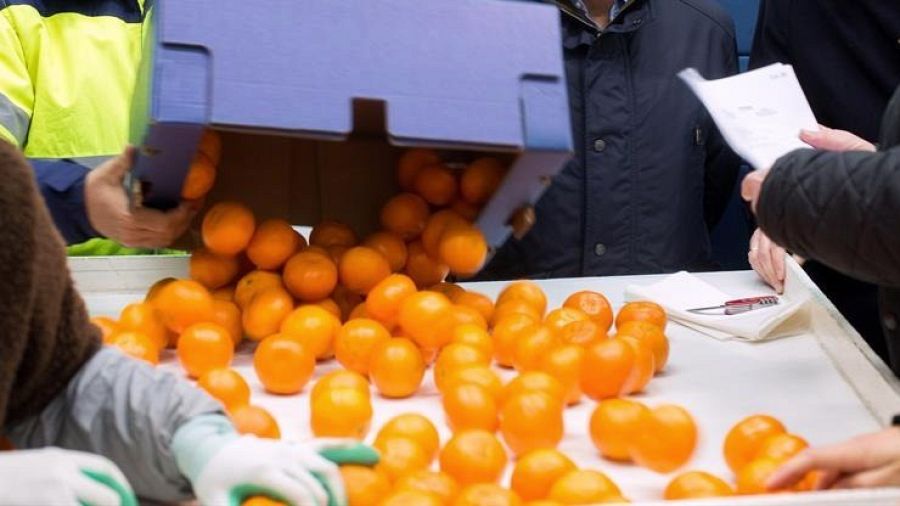 La decisión se adoptó a petición del Comité Permanente de PLantas, Animales, Alimentos y Piensos, y después de superar varios obstáculos y cambios de última hora