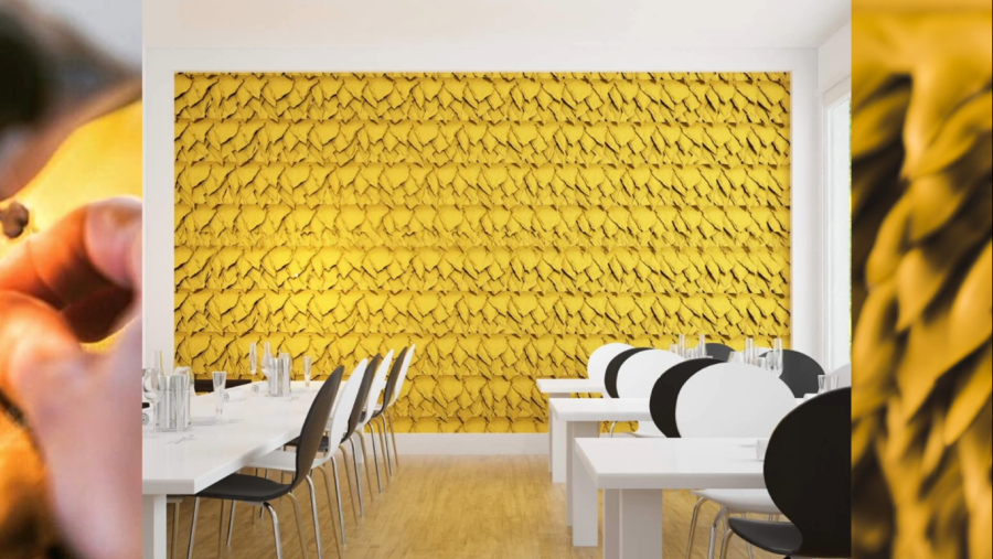 Intervenció de Sullà Studio