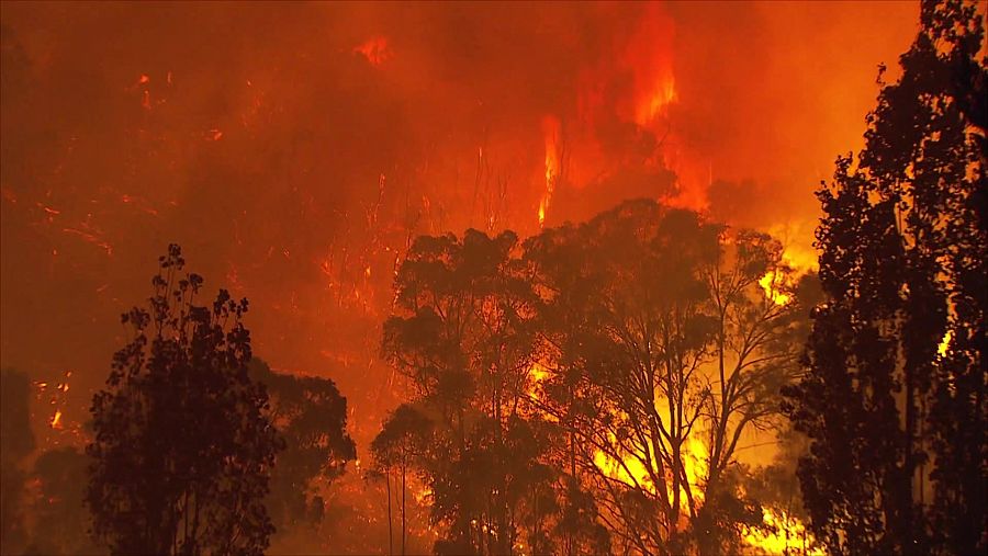 Masa forestal ardiendo