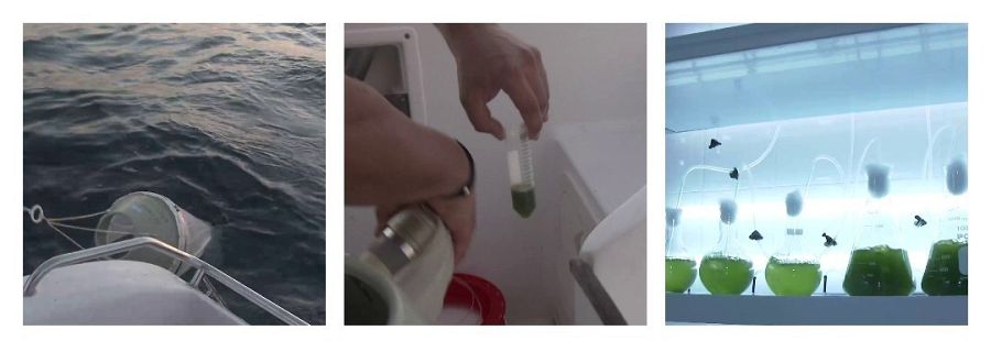 Ángel León y Ferrán Adrià charlan sobre gastronomía