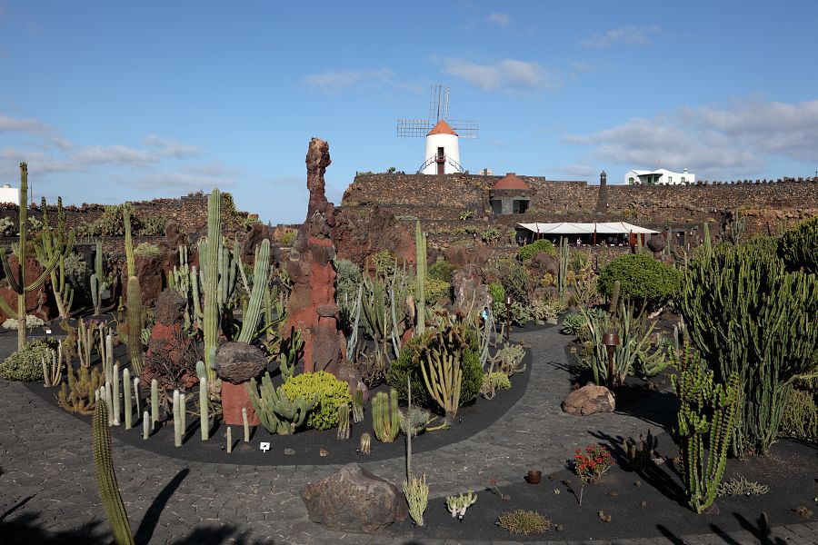 Jardín de Cactus