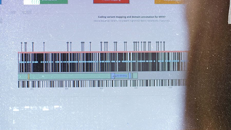 Imagen: un software analiza en código genético