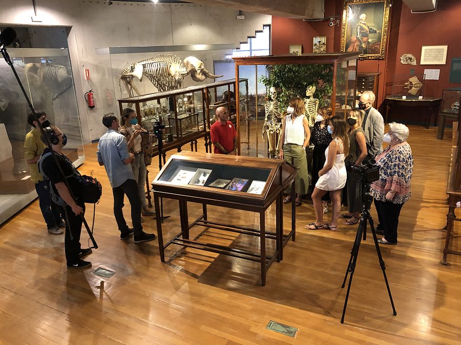 Podemos ver una de las estancias del museo nacional de ciencias naturales