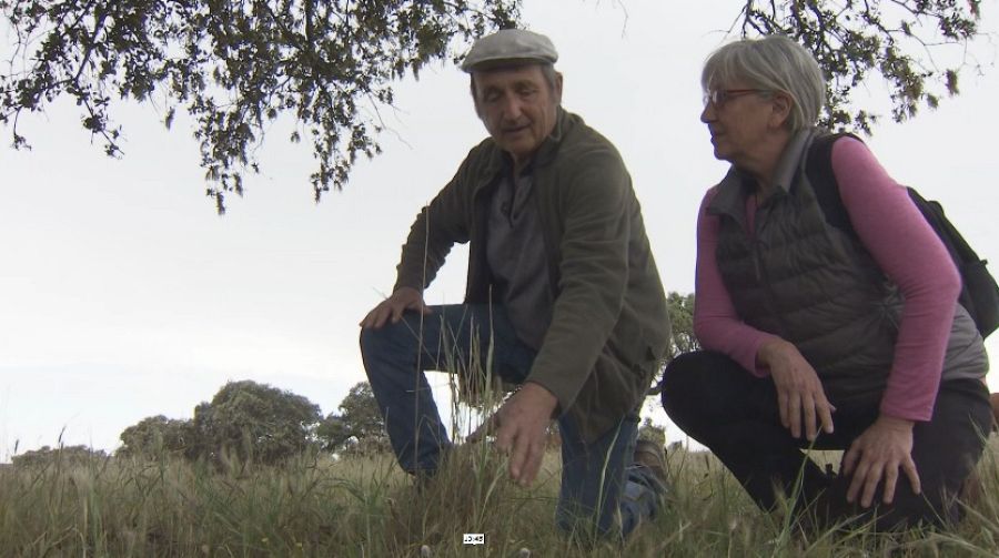 Comprobando la calidad del pasto en la finca Defesinhas, Elvas, Portugal, junto al ganadero Manuel Die
