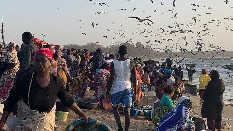 Venta de pescado en playa de Gambia