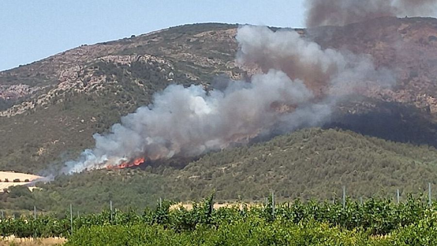 L'alerta del foc a Baldomar s'ha donat a la 1 del migdia